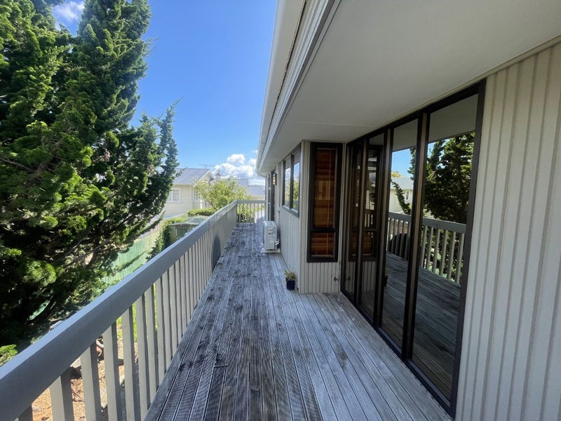 2A Kawau Road, Greenlane, Auckland - Carousel 18