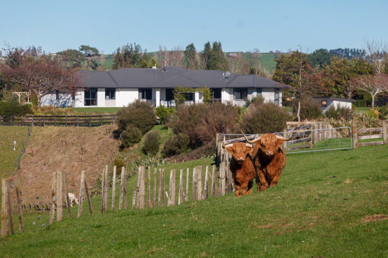 976 Old Te Aroha Road, Okauia, Matamata - Carousel 1