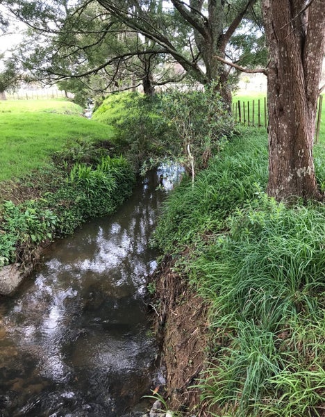 236 Kaipara Flats Road, Dome Forest, Warkworth - Carousel 24