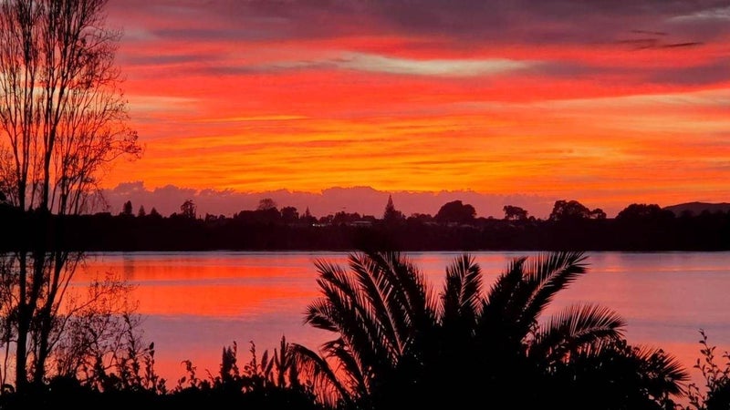 21 Kotare Crescent, Tauranga South, Tauranga - Carousel 22