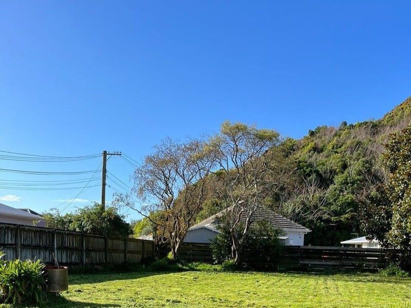 19 Kowhai Street, Naenae, Lower Hutt - Carousel 18