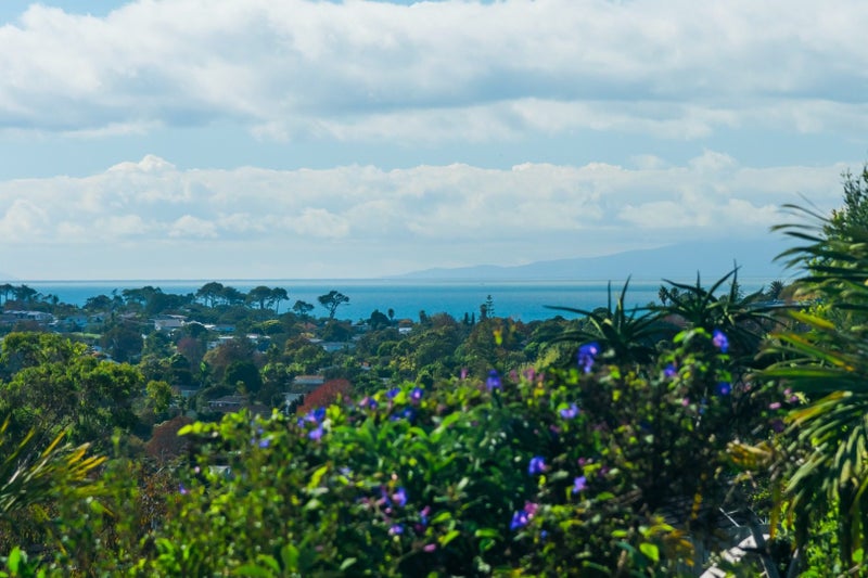 22 Nor'East Drive, Northcross, Auckland - Carousel 2