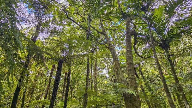 92 Tender Road, Albany - Carousel 23