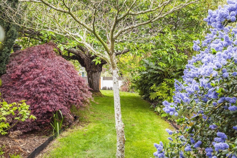 11 Ilkley Place, Ilam, Christchurch - Carousel 23