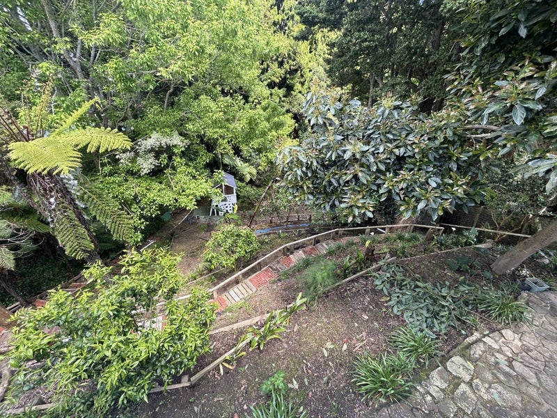 7 McInnes Place, Queenwood, Hamilton - Carousel 20