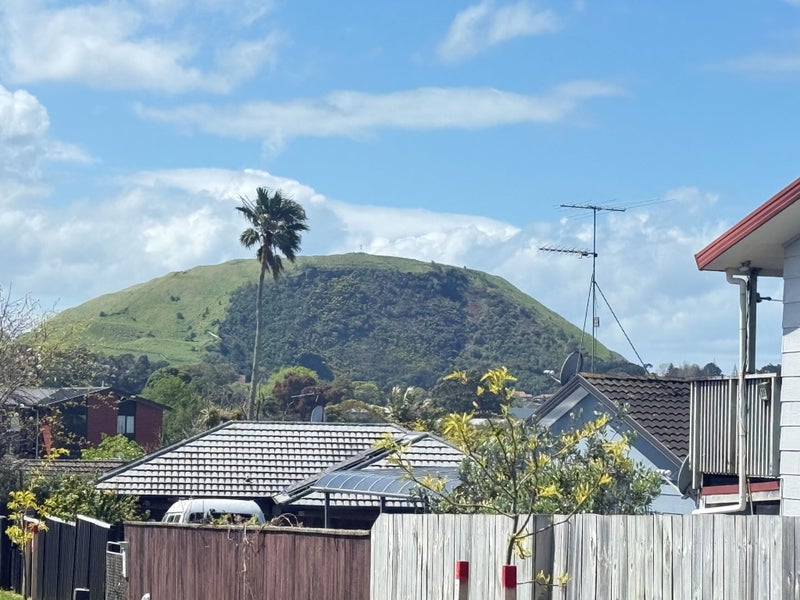 12A Italia Grove, Mount Wellington, Auckland - Carousel 15