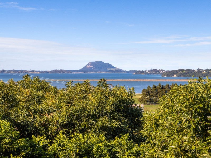 97 Morton Road, Katikati - Carousel 1