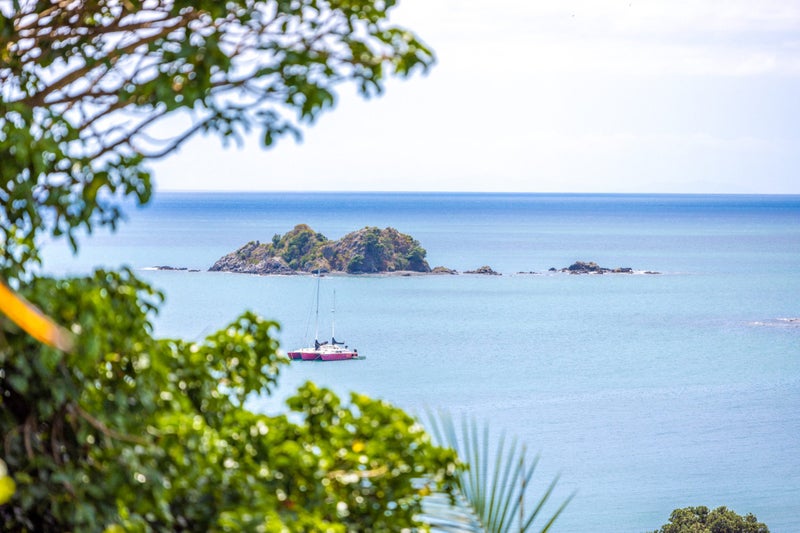 25 Miro Road, Palm Beach, Waiheke Island - Carousel 2