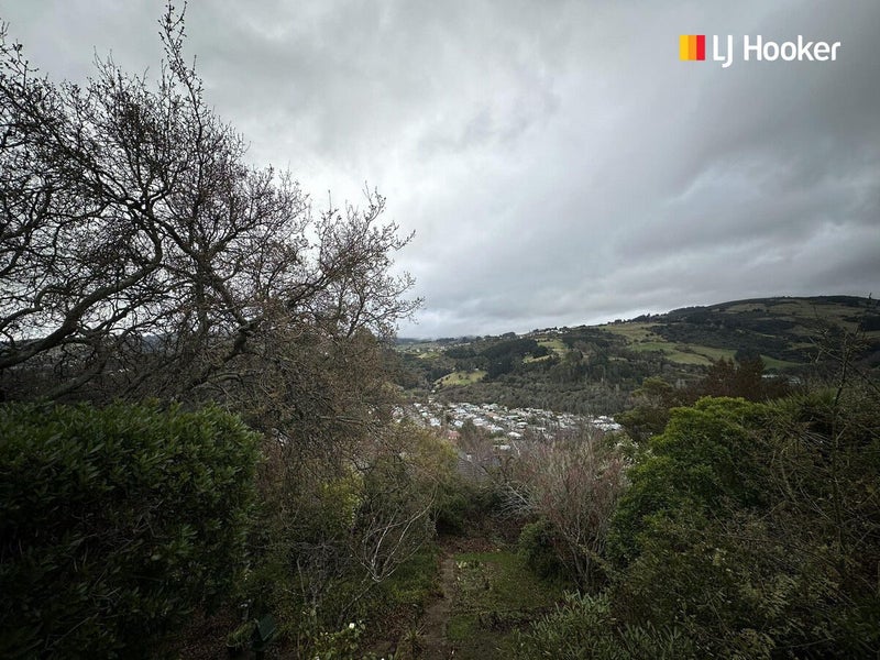 99 Evans Street, Opoho, Dunedin - Carousel 11