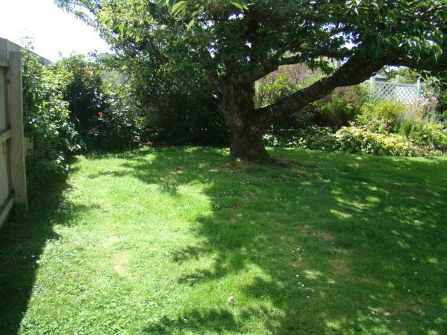 225 Chelmsford Street, Waverley, Invercargill - Carousel 14