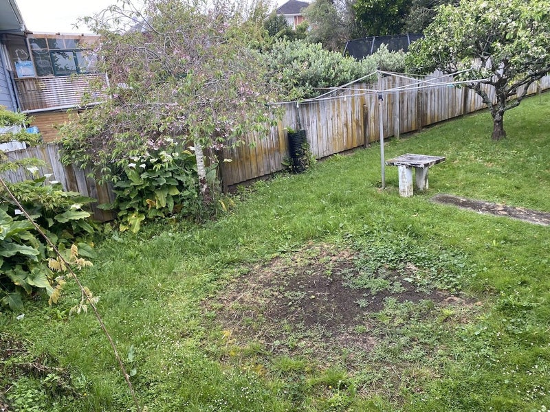 6 Eban Avenue, Hillcrest, Auckland - Carousel 17