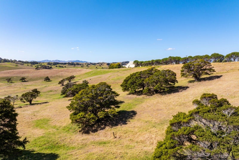 0 Bradleys Landing Rd, Arapohue, Dargaville - Carousel 15