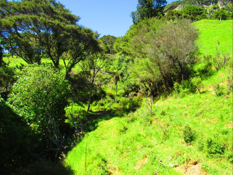 0 Kihi Road, Hauturu, Oparau - Carousel 14