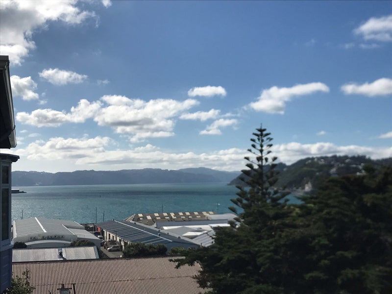 21 Tirangi Road, Rongotai, Wellington - Carousel 2