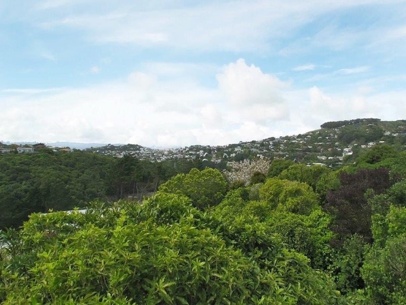 3/25 Winston Street, Crofton Downs, Wellington - Carousel 12