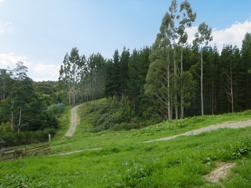 81 Poulters Road, Leith Valley, Dunedin - Carousel 2