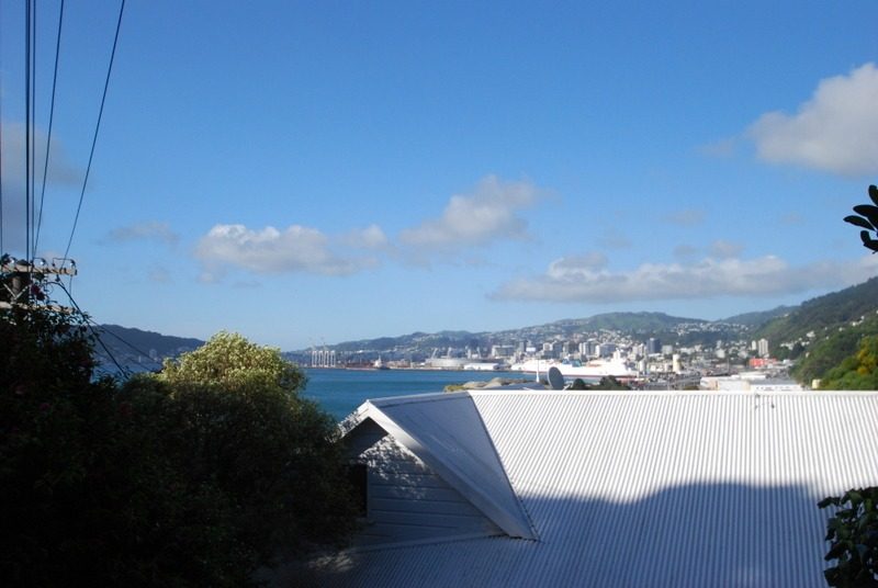 6A Rangiora Avenue, Kaiwharawhara, Wellington - Carousel 11