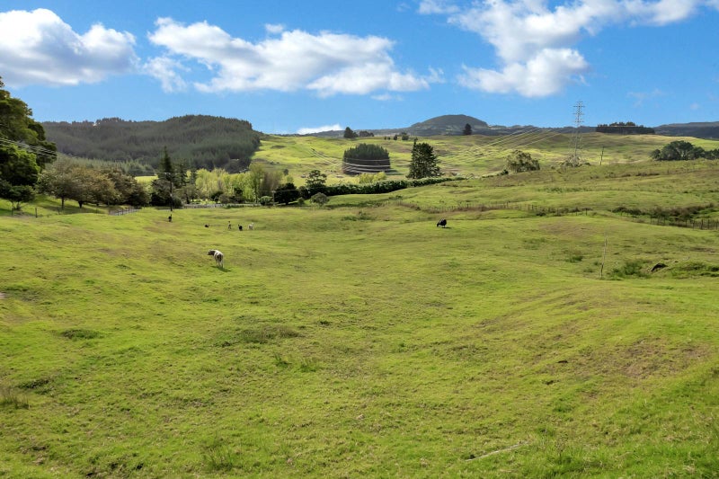 253 Tavinor Road, Whangarei - Carousel 19