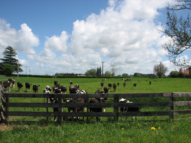 595A Tauranga Road, Te Poi, Matamata - Carousel 2