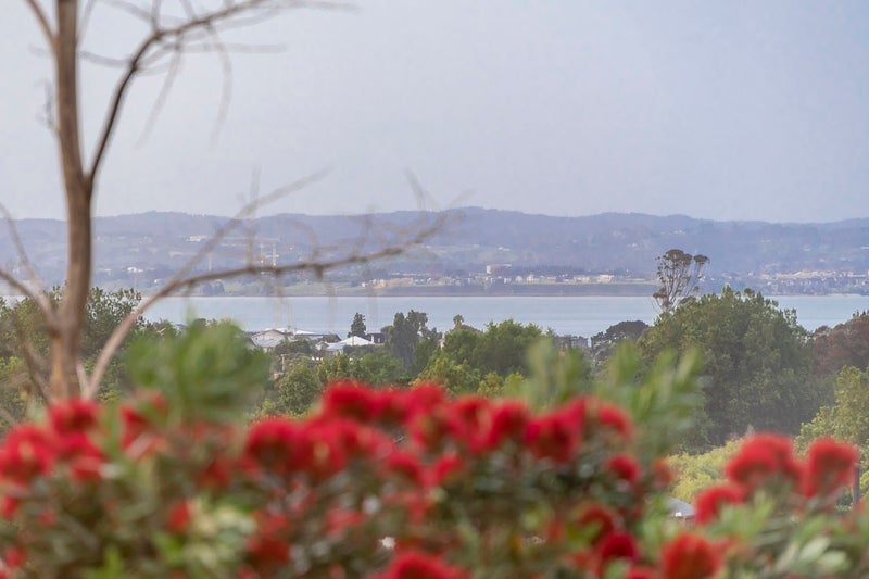 14 Springfield Road, Morningside, Auckland - Carousel 2