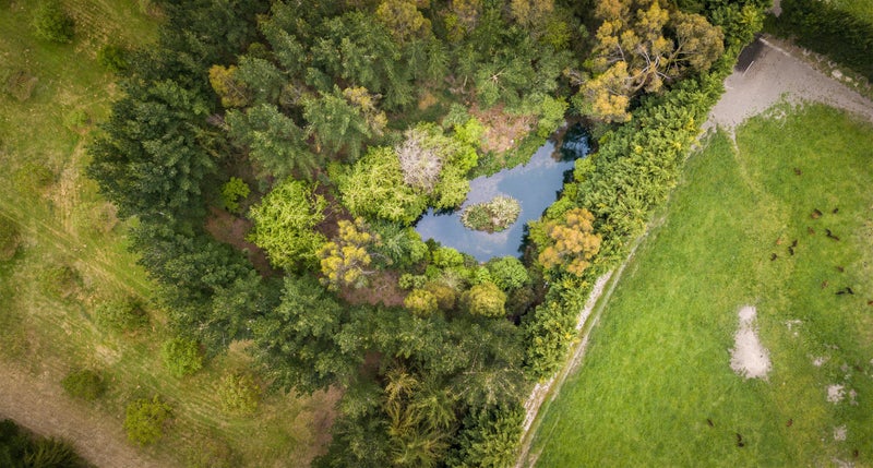 1837 West Coast Road, Christchurch - Carousel 9
