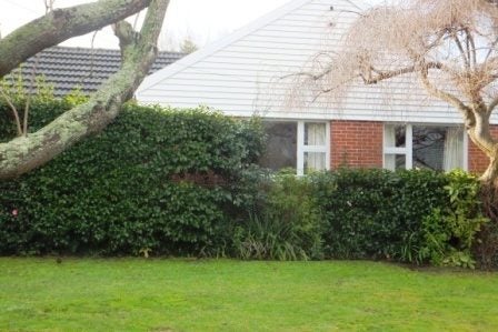 22 Wilfrid Street, Ilam, Christchurch - Carousel 10