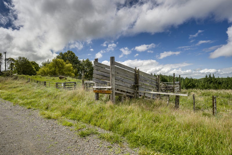 1447 Ridgemount Road, Tutira - Carousel 19