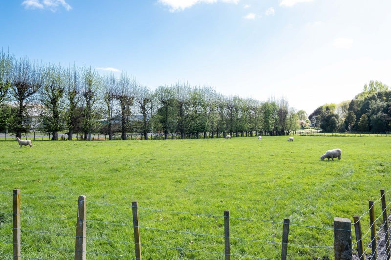 314 Norton Road, Akina, Hastings - Carousel 26