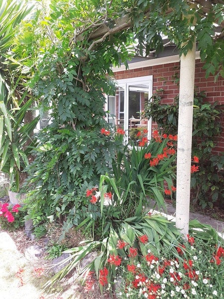 404 Cashmere Road, Westmorland, Christchurch - Carousel 2