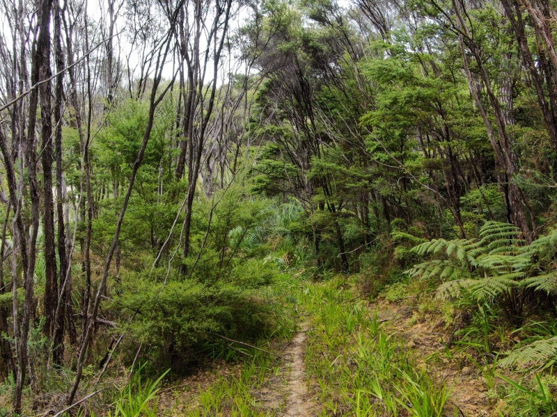 1248A Oruru Road, Peria, Kaitaia - Carousel 2