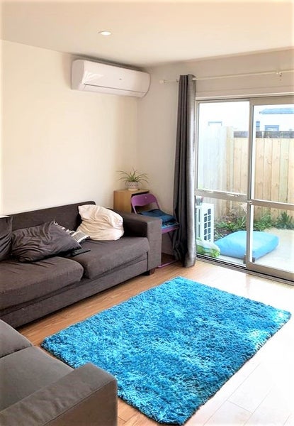 2/8 Lyon Street, Frankton, Hamilton - Carousel 9