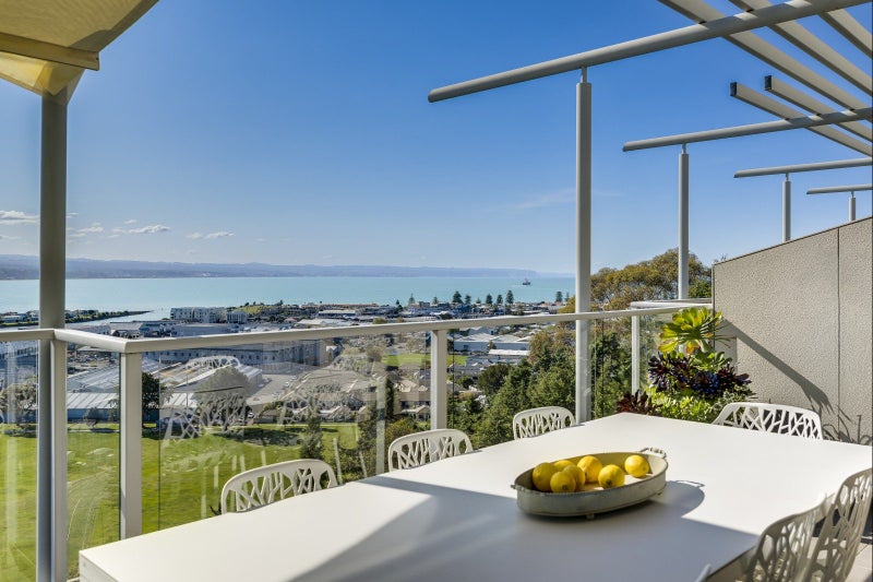 1/24 Hospital Terrace, Hospital Hill, Napier - Carousel 1