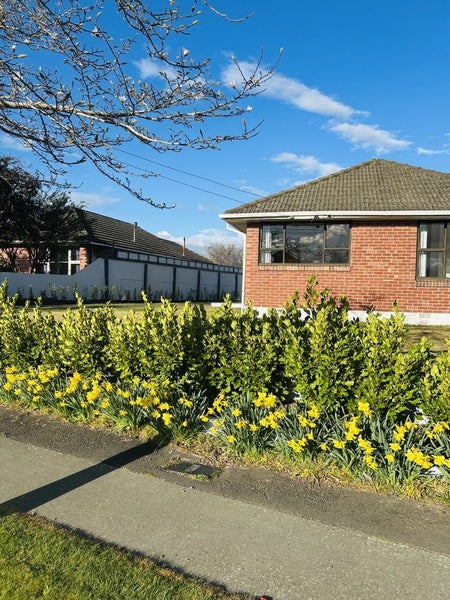 80 Balrudry Street, Avonhead, Christchurch - Carousel 27