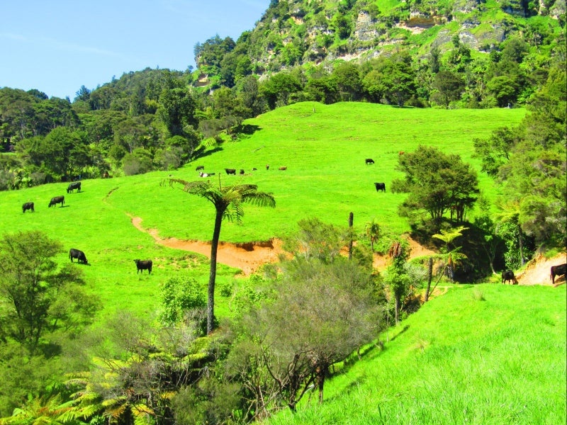 0 Kihi Rd, Hauturu, Oparau - Carousel 1