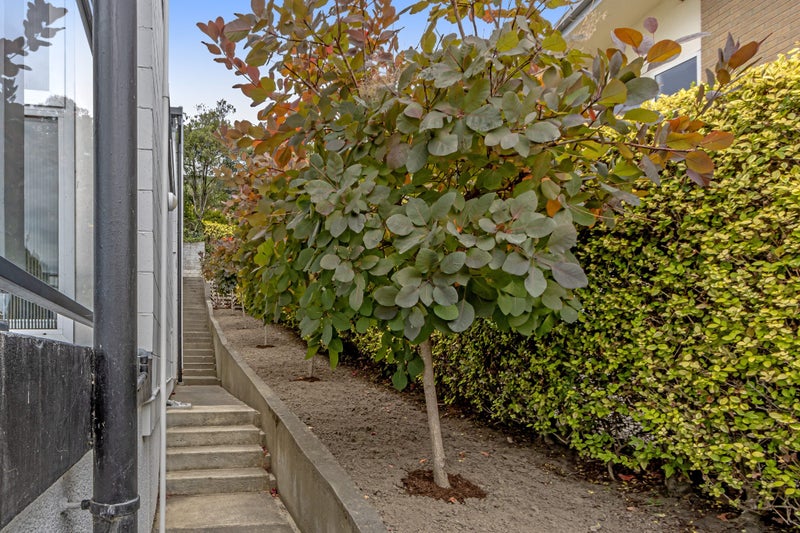 10 Clementine Lane, Mount Pleasant, Christchurch - Carousel 17