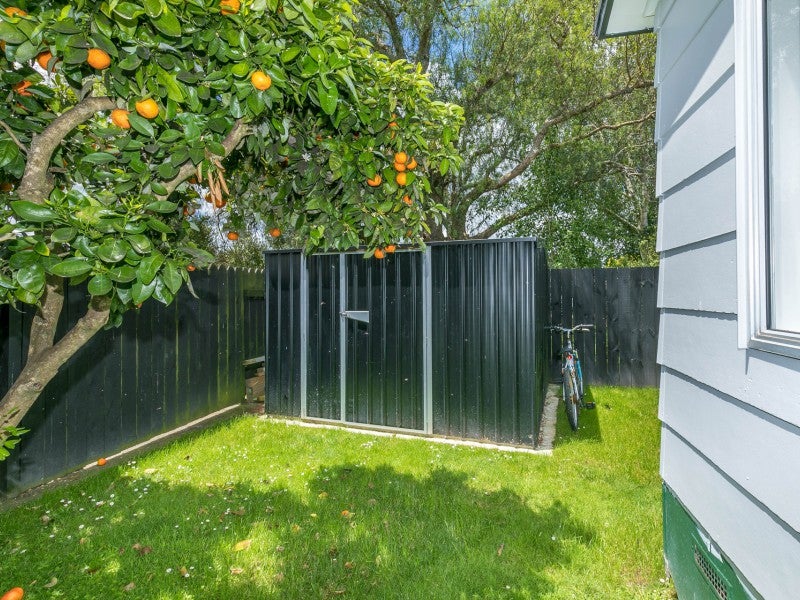 392A Kahikatea Drive, Dinsdale, Hamilton - Carousel 26