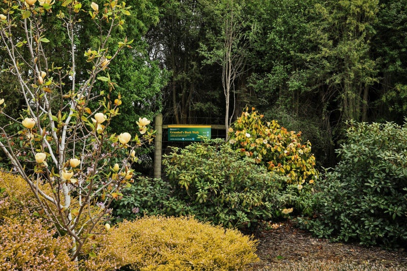 41 Arcadia Place, Seaward Bush, Invercargill - Carousel 29