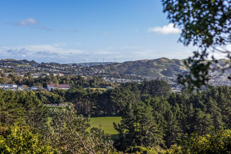 10A Sunningdale Lane, Woodridge, Wellington - Carousel 2