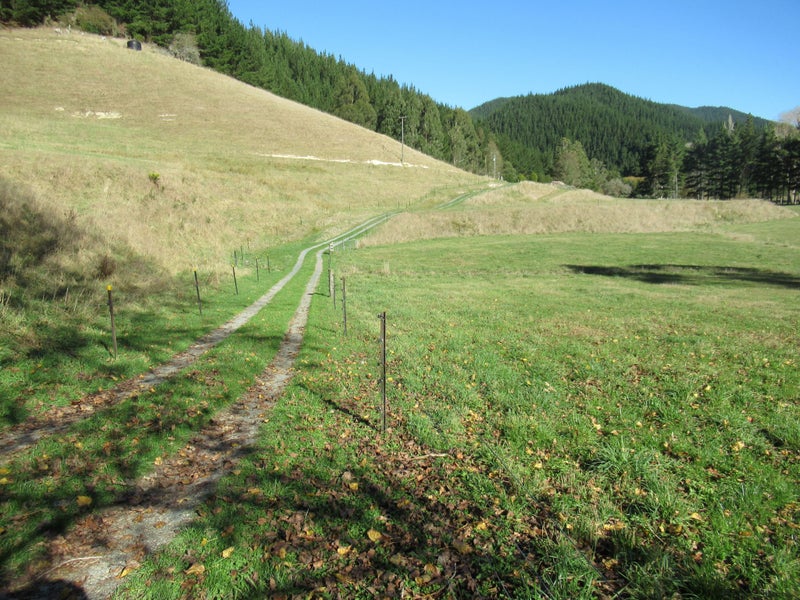 99 Serpentine River Road, Aniseed Valley - Carousel 32