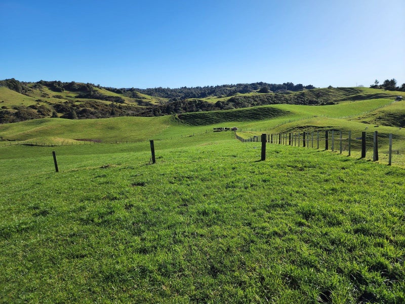 869 Te Anga Road, Te Kuiti - Carousel 17