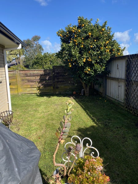 297 Clarkin Road, Fairfield, Hamilton - Carousel 12