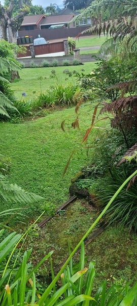 27 Wychwood Crescent, Springfield, Rotorua - Carousel 14