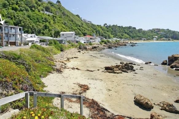 117 Marine Parade, Seatoun, Wellington - Carousel 16