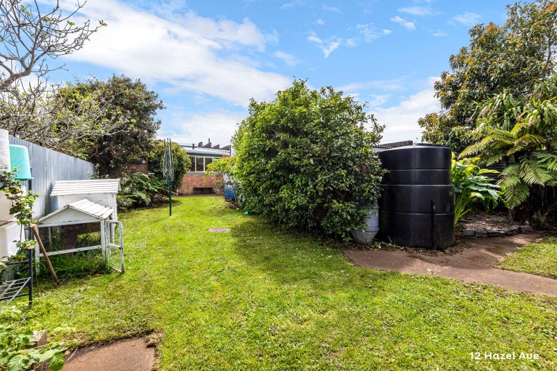 12 Hazel Avenue, Mount Roskill, Auckland - Carousel 5