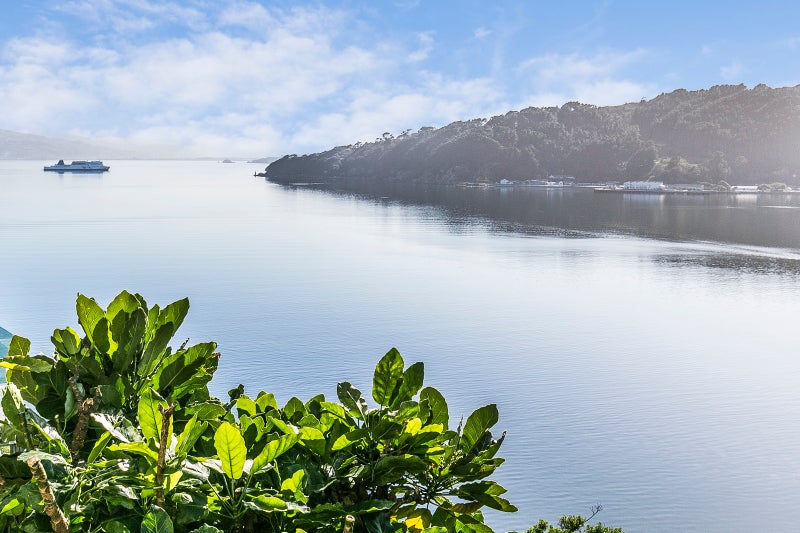 2 Akautangi Way, Hataitai, Wellington - Carousel 2