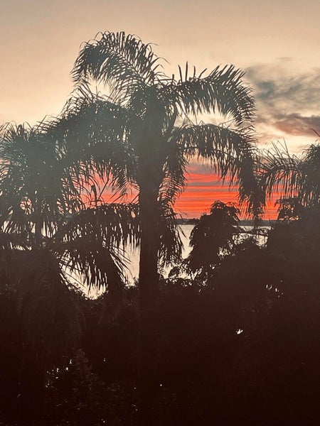 10/67 Sarsfield Street, Herne Bay, Auckland - Carousel 16