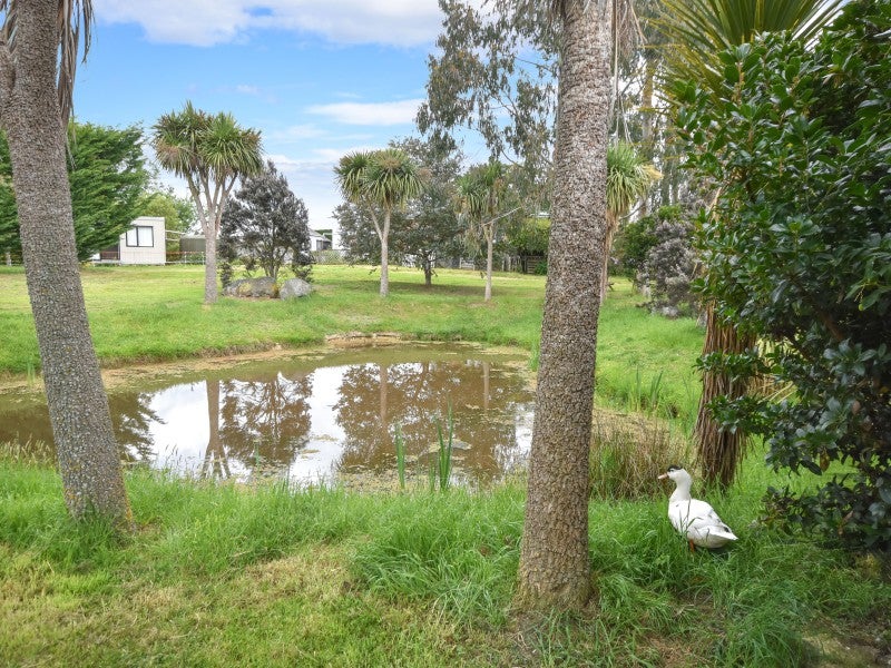 407 Outram-Mosgiel Road, Outram - Carousel 26