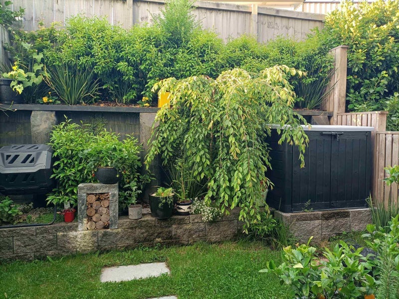 136A Tiriwa Drive, Massey, Auckland - Carousel 13