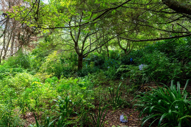 169A State Highway 30, Tikitere, Rotorua - Carousel 33