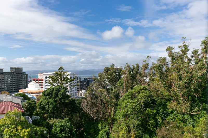 4/1 Wesley Road, Kelburn, Wellington - Carousel 13